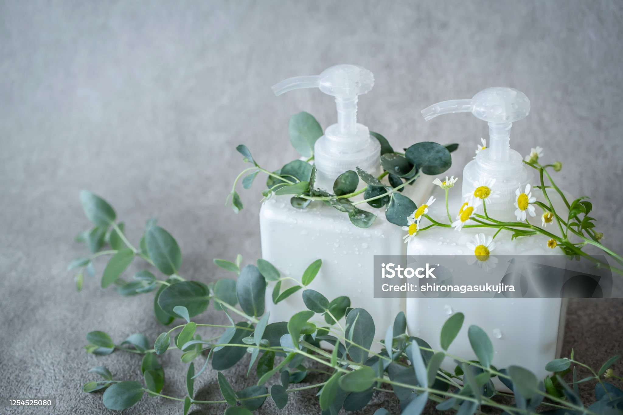 True Botanicals