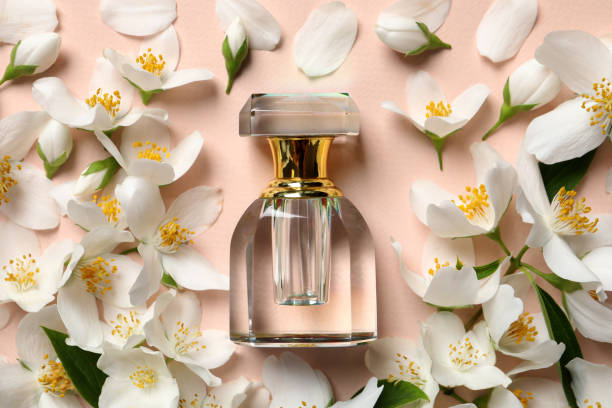 Perfume and fresh jasmine flowers