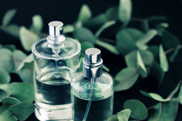 Perfume spray green eucalyptus leaves