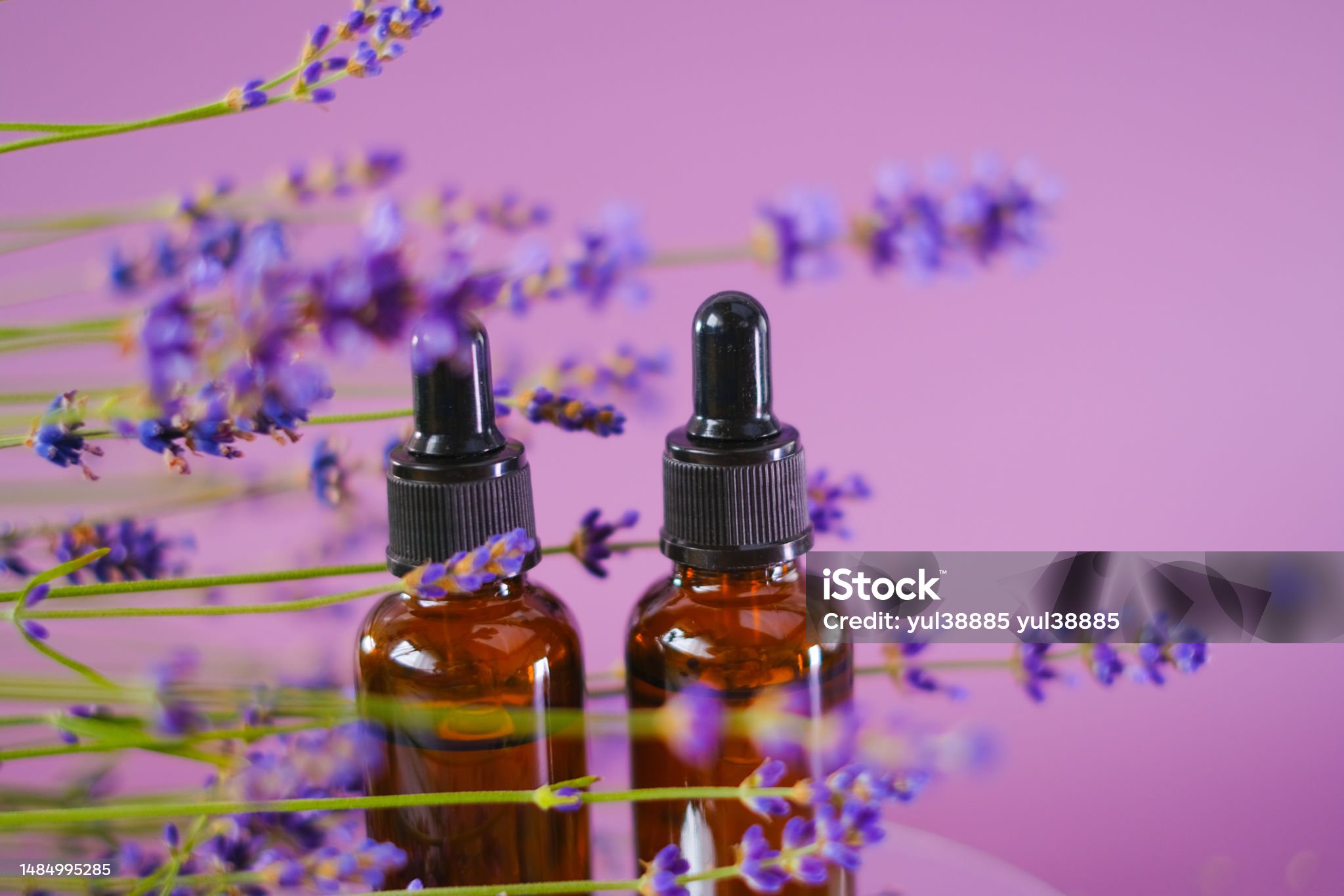Scent lavender essential oil